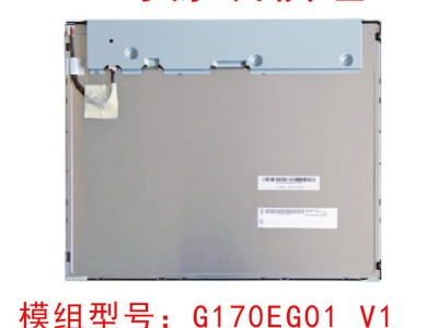 友達(dá)G170EG01 V.1